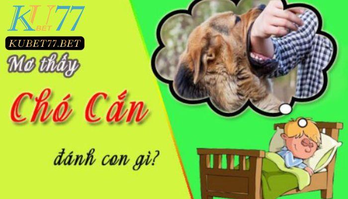 Mơ thấy chó cắn nên đánh số gì?