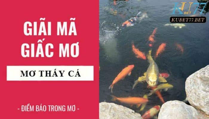 Mơ thấy cá